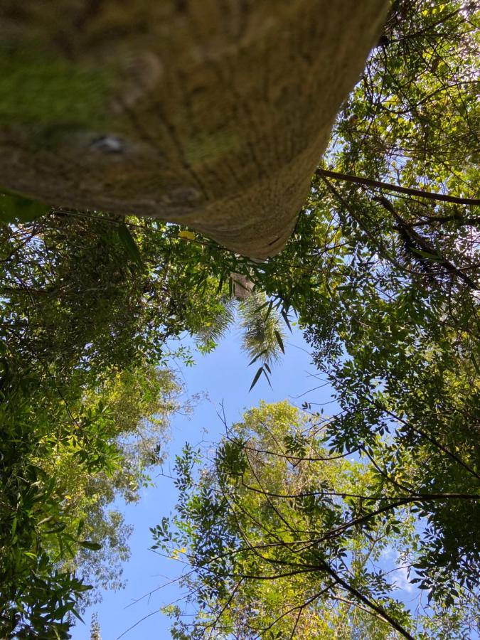 Sitio Metropole - Refugio Na Natureza 皮拉茹 外观 照片